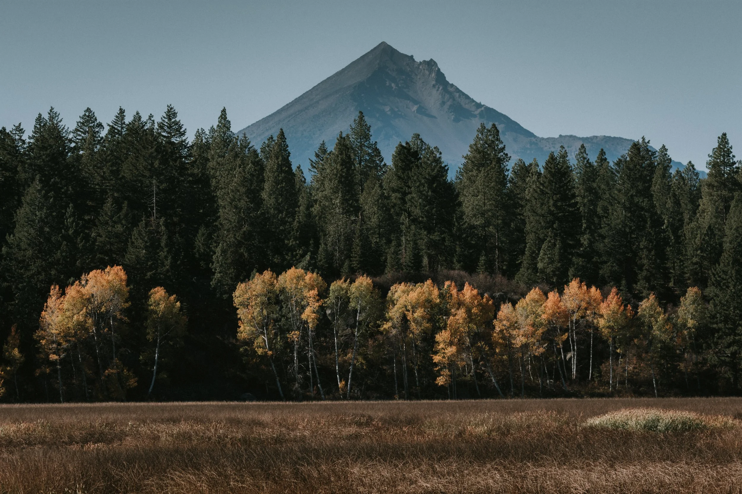 A mountain with a pointed peak behind a forest with green trees and some trees with orange and yellow leaves, and a grassy field in the foreground.