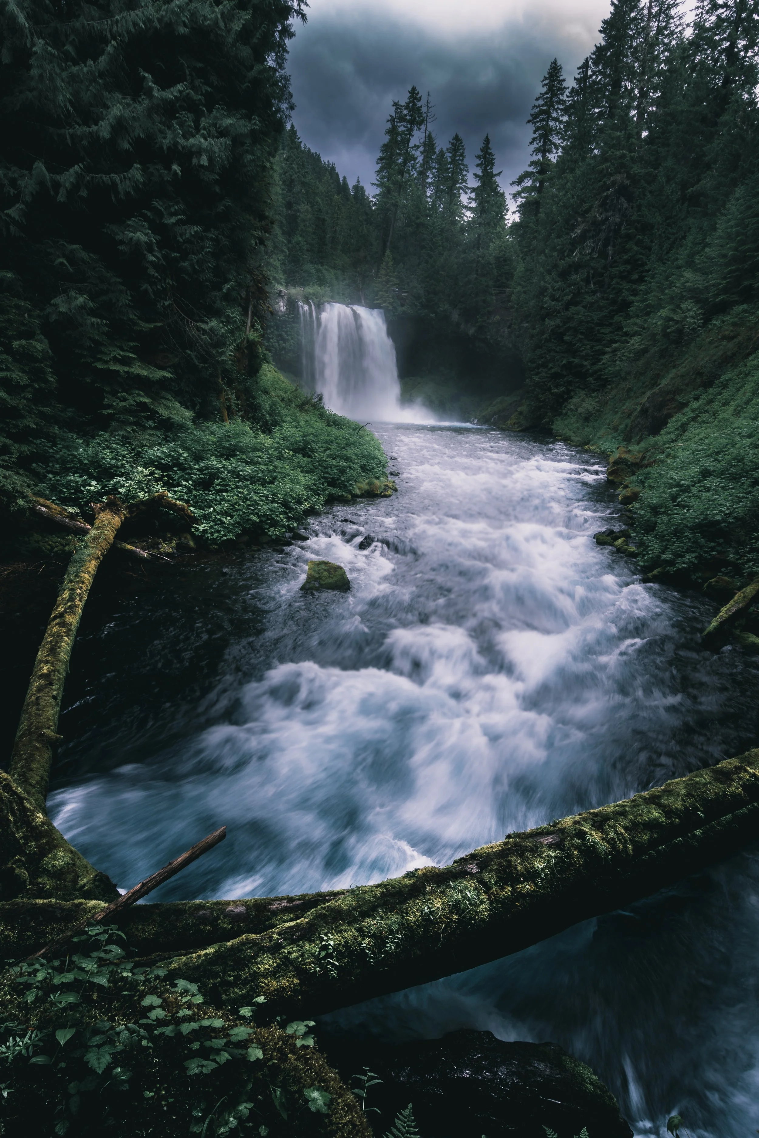 A lush green forest with a waterfall cascading into a river, surrounded by dense trees and overcast skies.