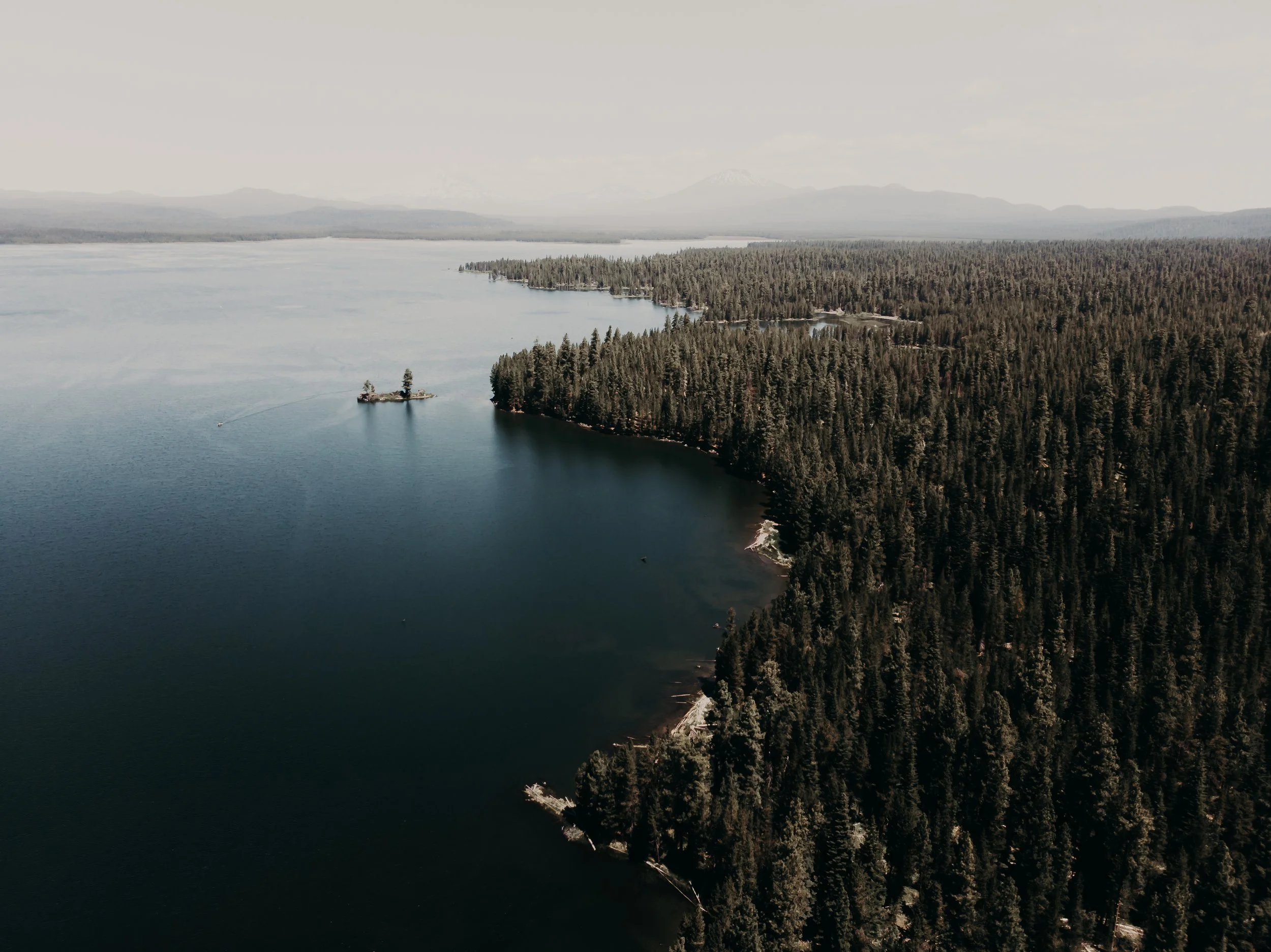 Aerial view of a large body of water bordered by dense forest with a small island and distant mountains.