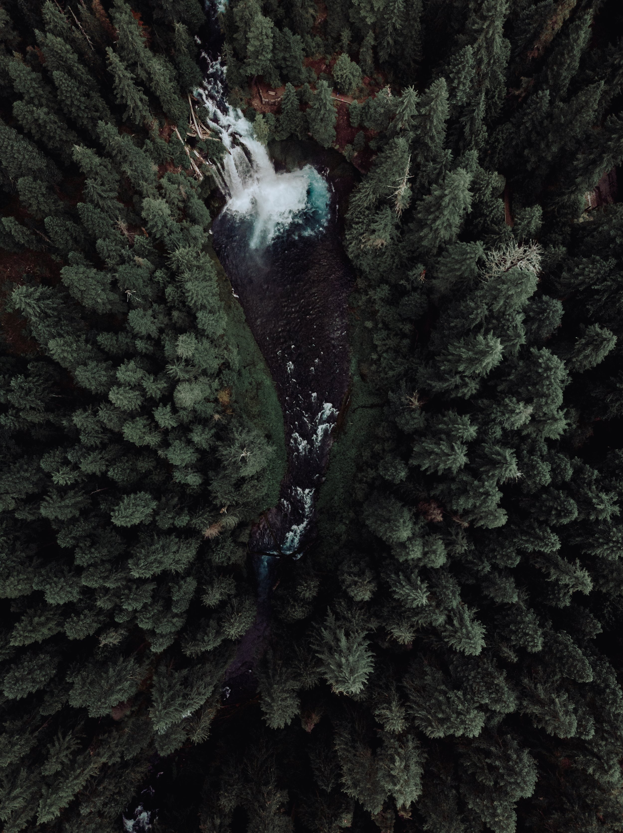 An aerial view of a waterfall cascading into a river surrounded by dense evergreen forest.