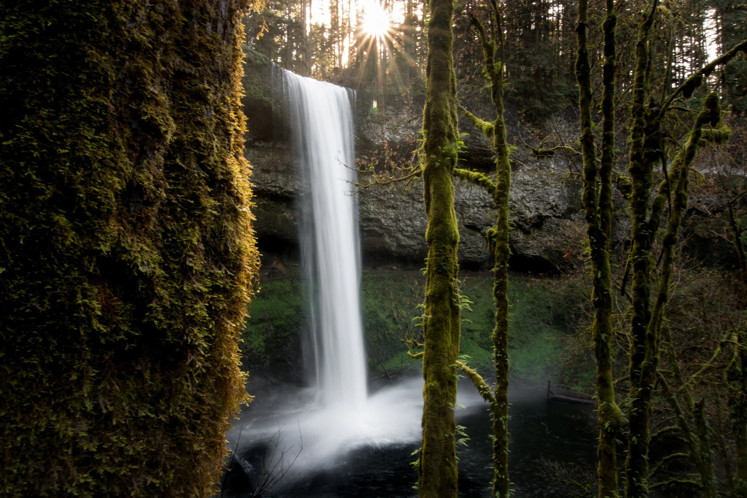 A waterfall cascading down a rocky cliff in a lush, green forest with moss-covered trees, sunlight shining through the trees.