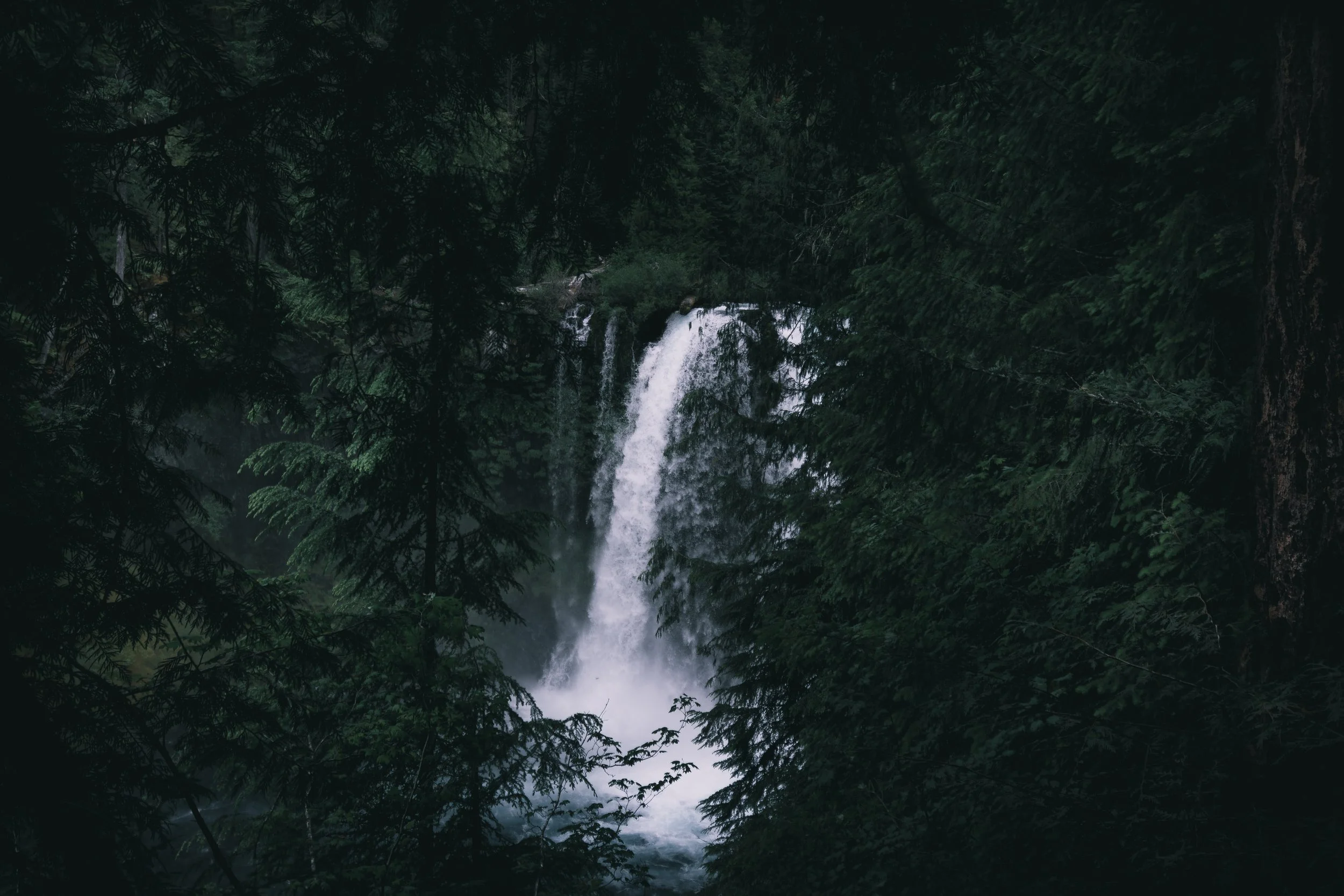 A waterfall cascading down into a forested area surrounded by lush green trees.