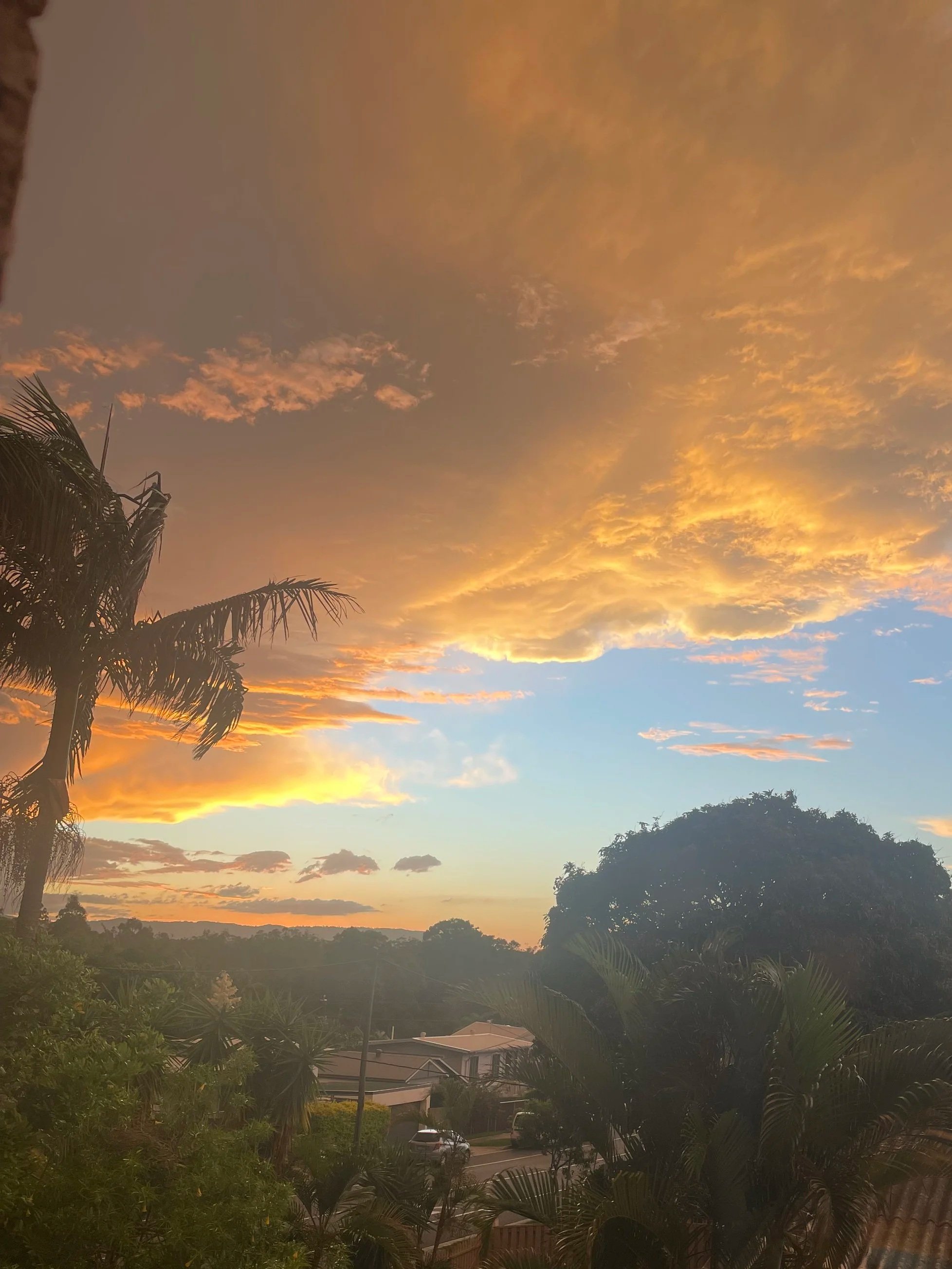 Sunset sky with orange and yellow clouds over a suburban neighborhood, with trees in the foreground and a few houses visible.