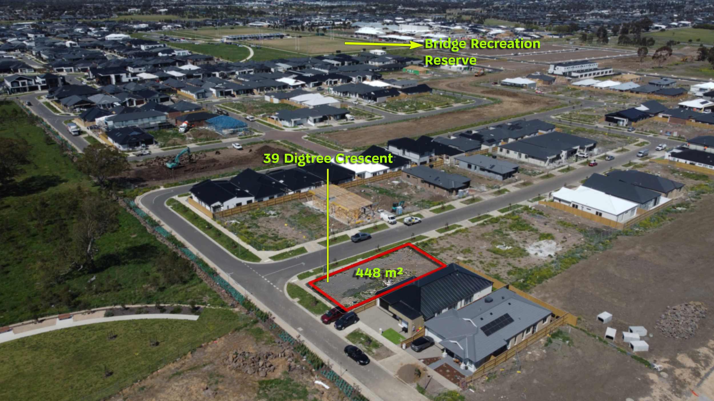 39digtree002 (1).png