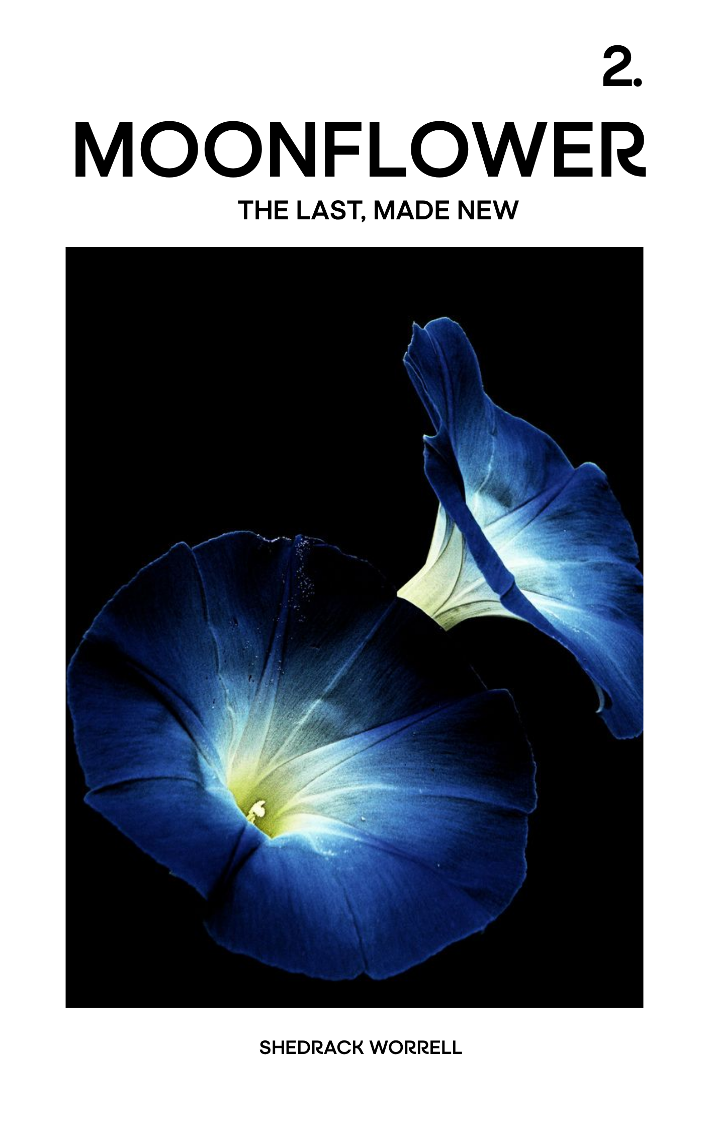2. Moonflower