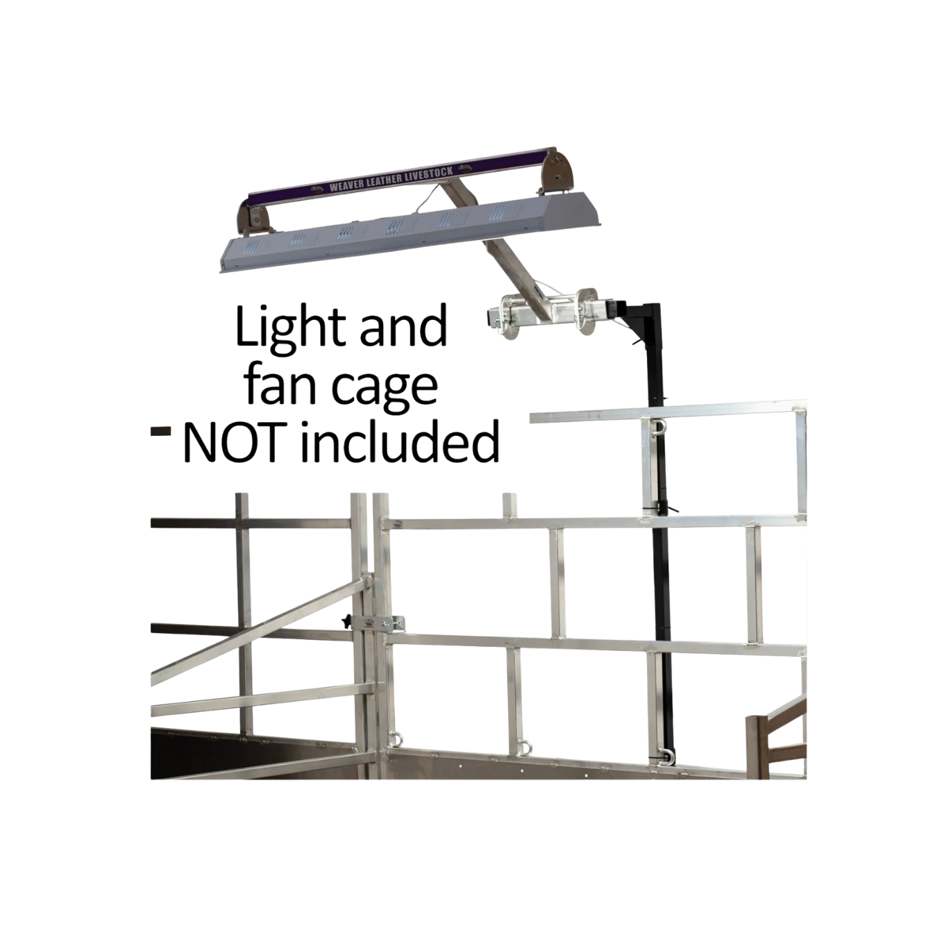 BEFORE. 3.png