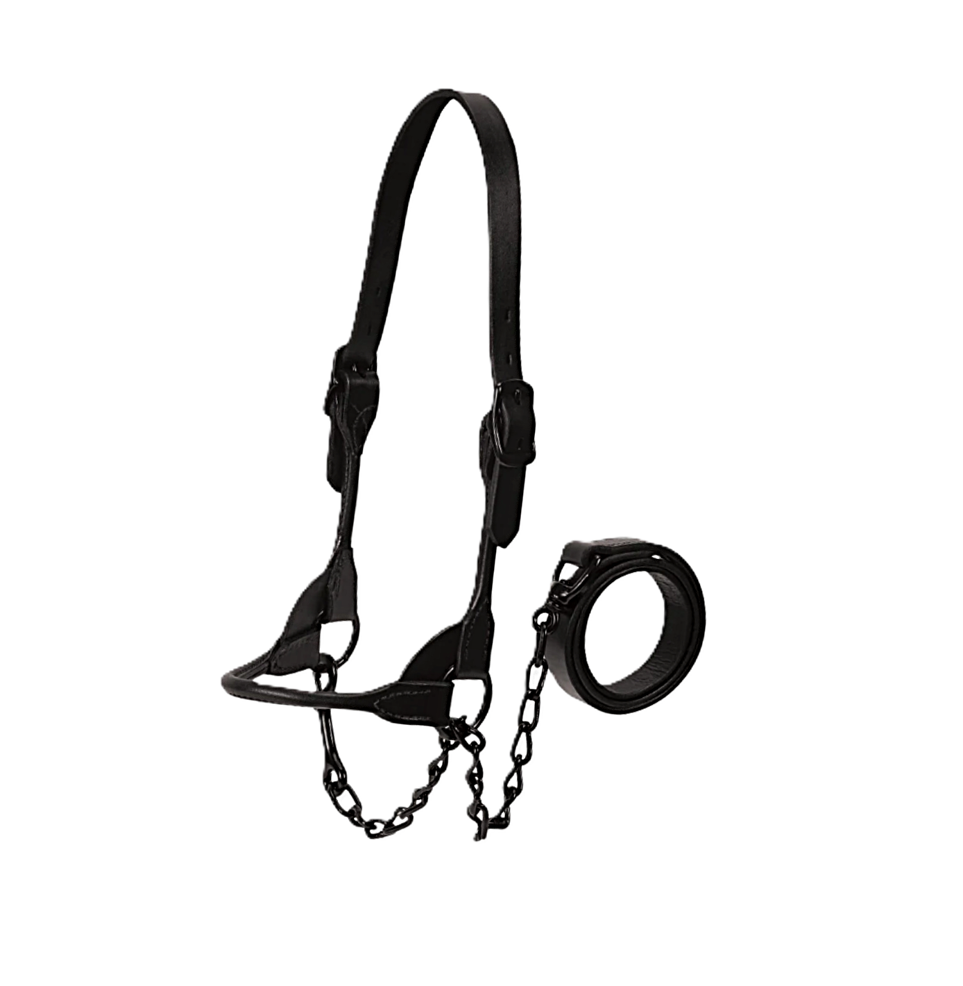 Black Magic Show Halter