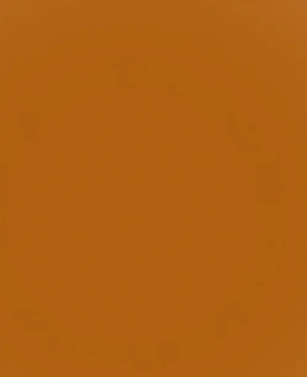 ProPaint Fawn Swatch.png