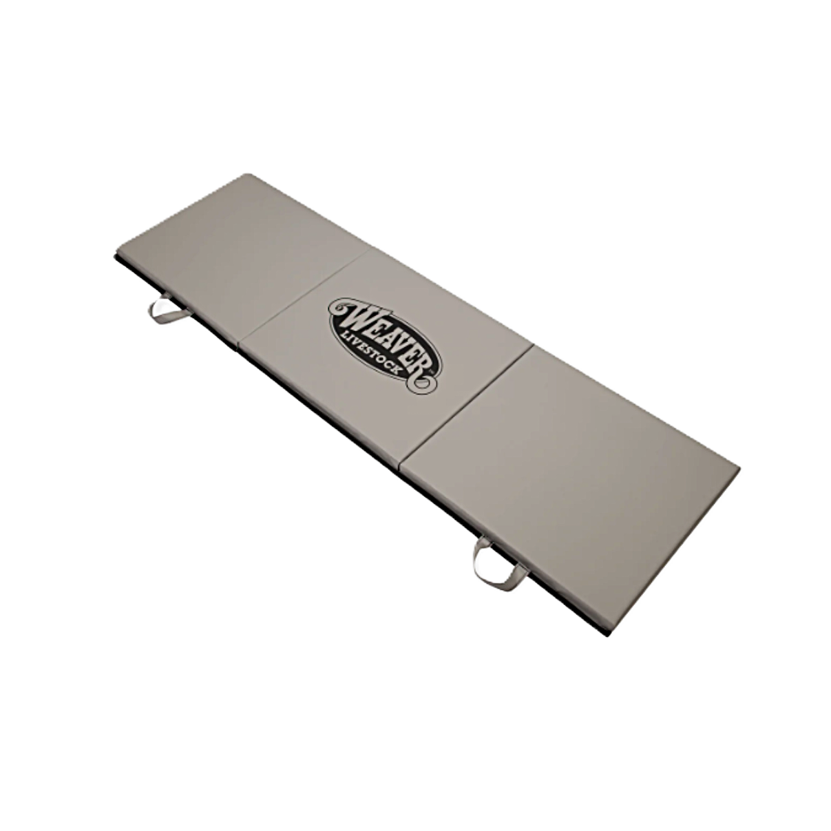 Large Fitting Mat 2.png