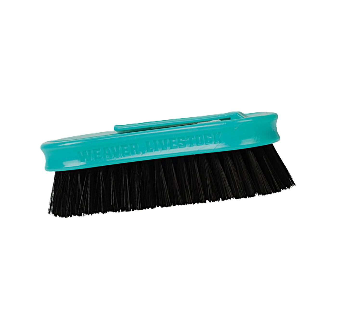 Pig Face Brush Aqua.png
