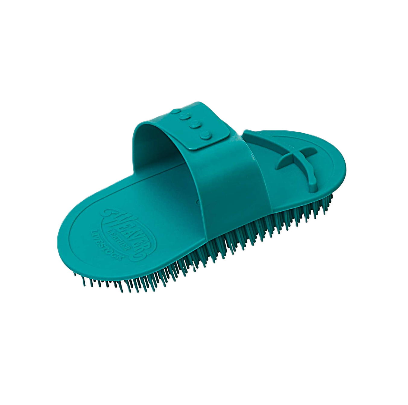 Massage Brush Teal.png