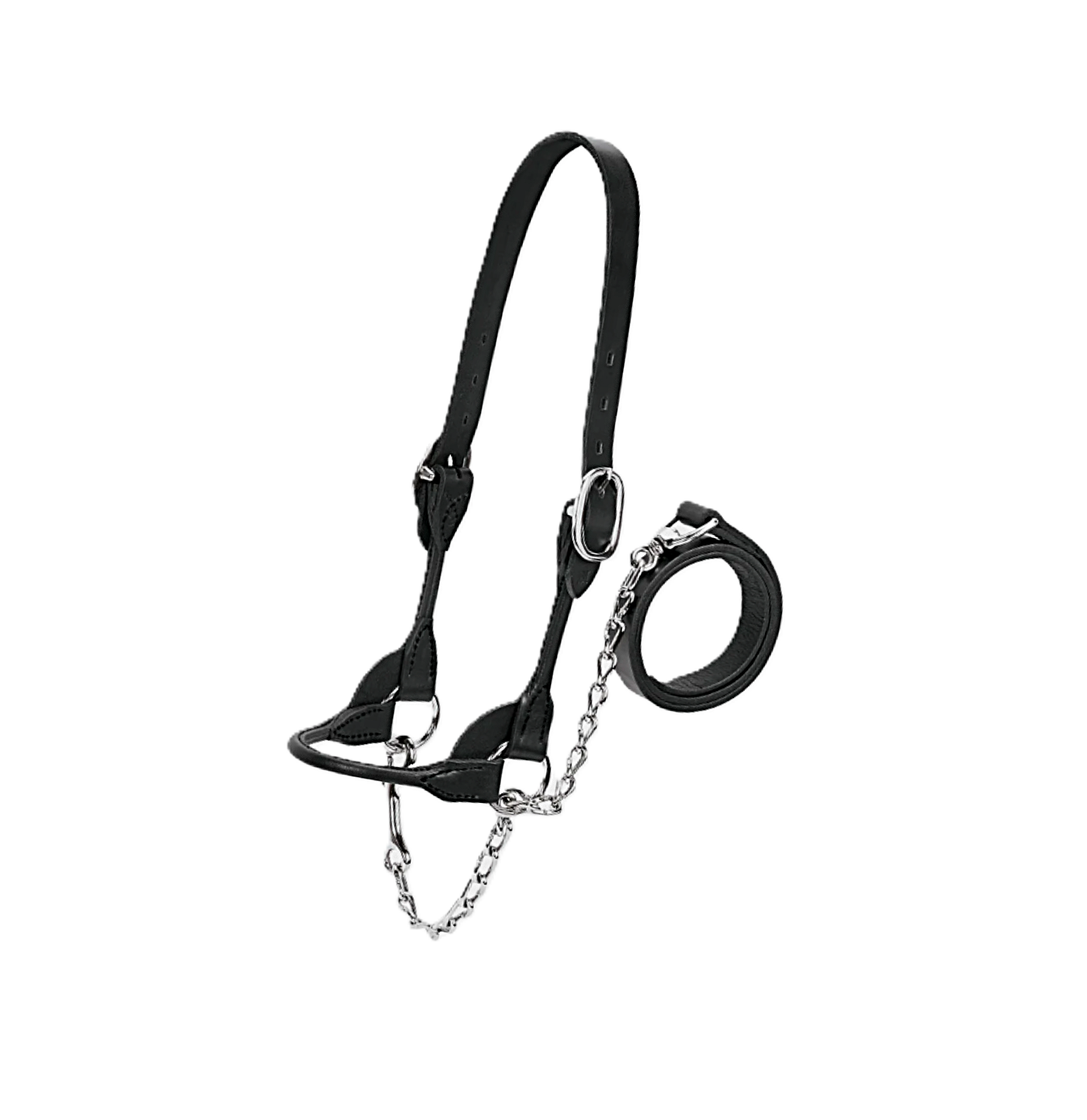 Dairy Beef Rounded Show Halter Black.png