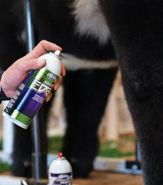 ProEdge Picture 1.png