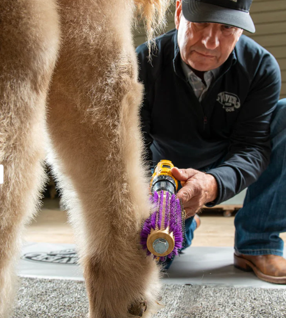 Roto Brush Long Purple 1.png