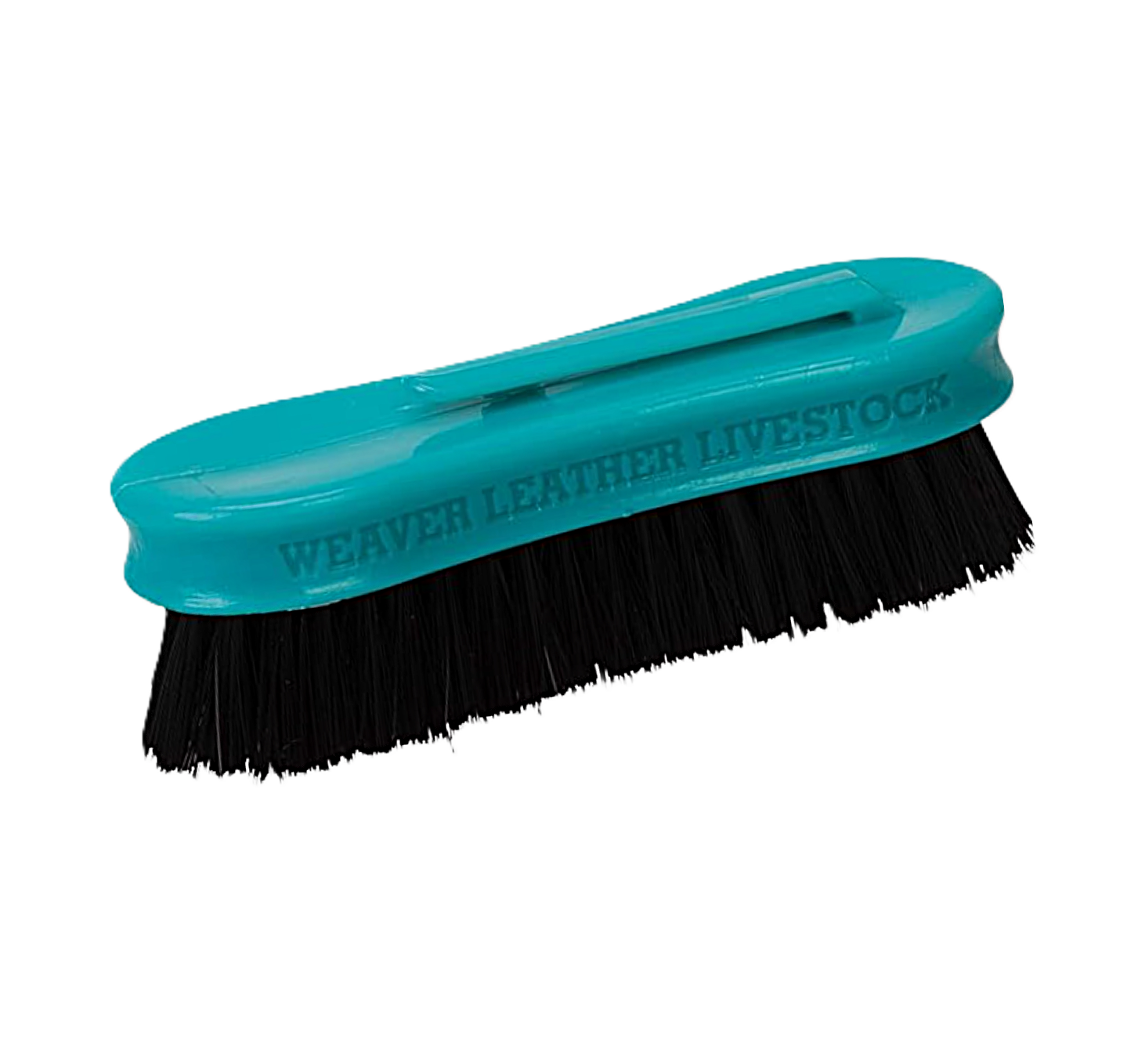 Pig Face Brush Teal.png