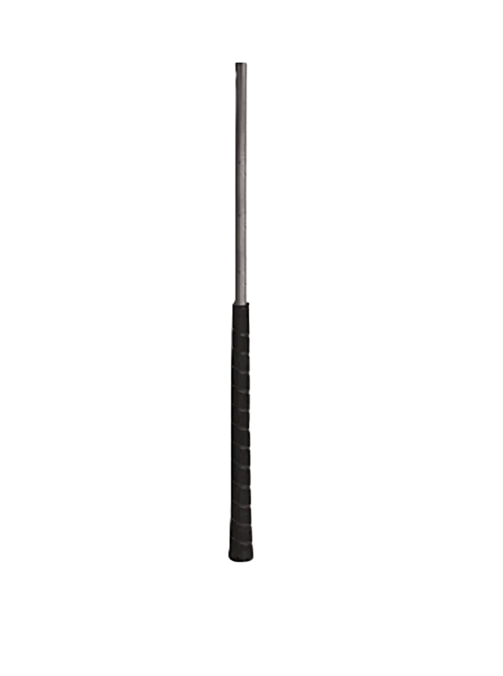 Show Cane Silver .png