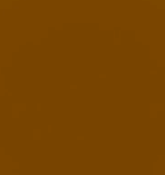 ProPaint Cinnamon Swatch.png