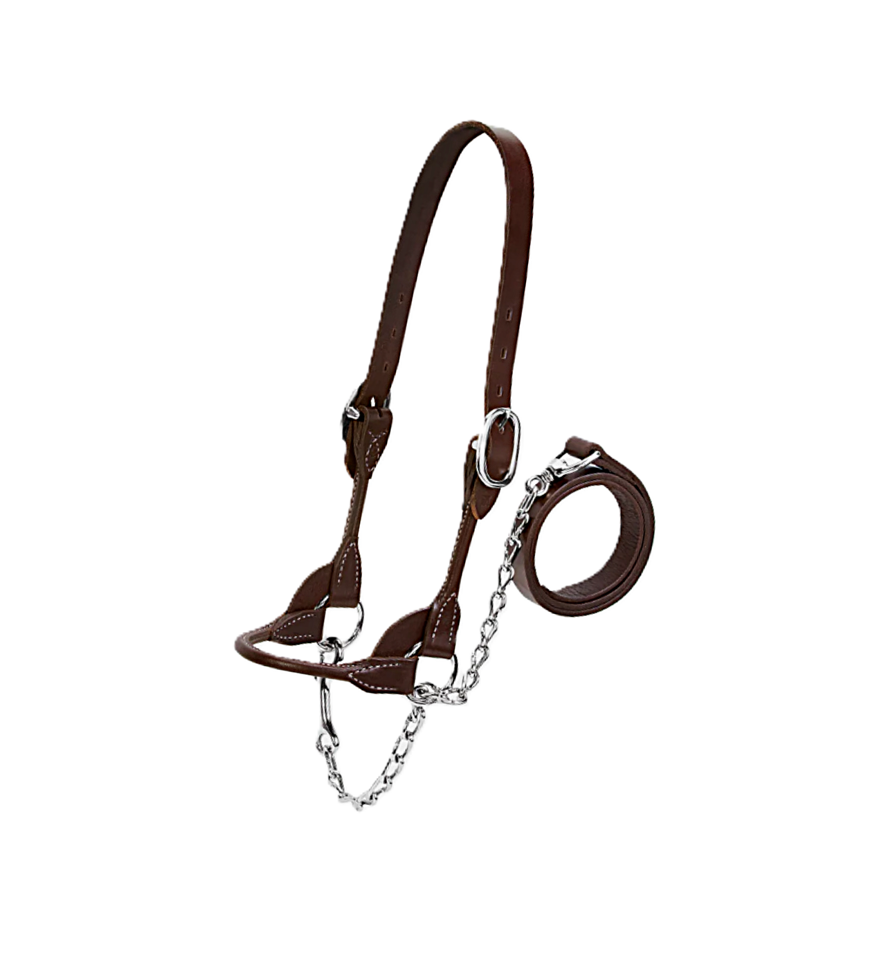 Dairy Beef Rounded SHow Halter Brown.png