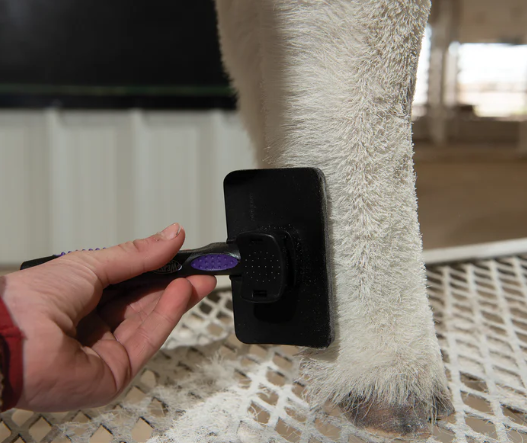 Self Cleaning Slicker Brush 2.png