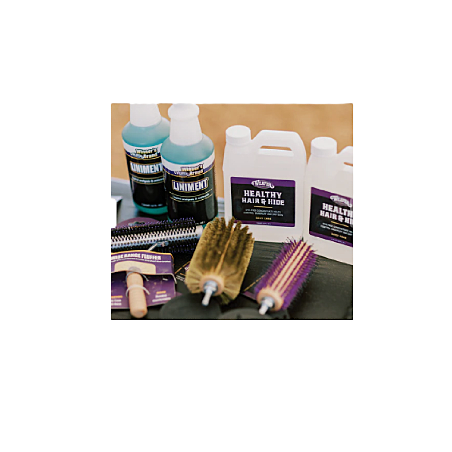 Healthy Hair and Hide 1.png