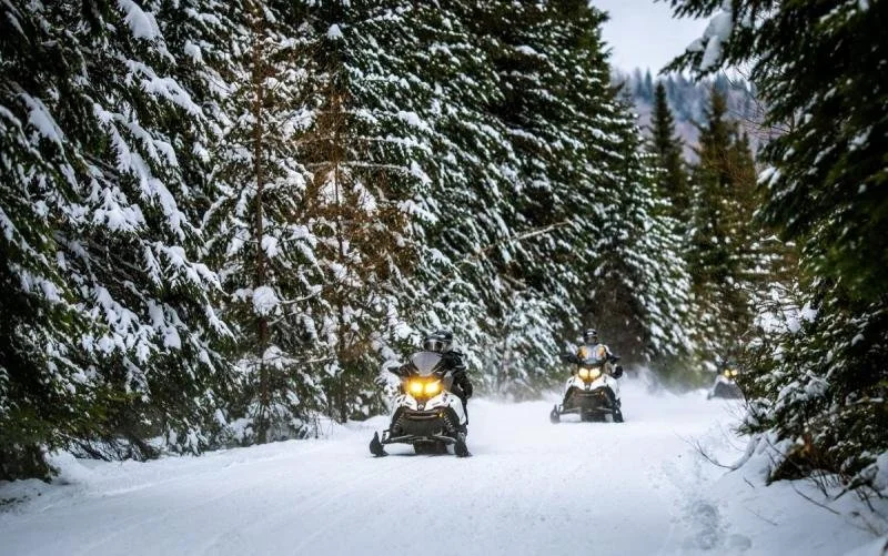 Two tourists drive through the forest of Mont Tremblant on snowmobiles.