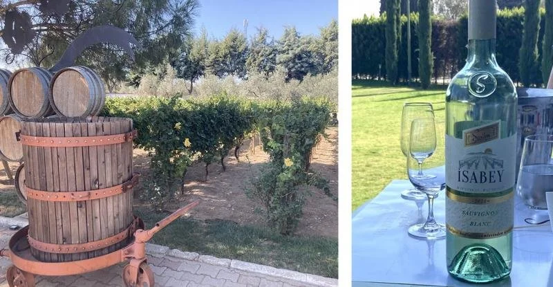 A glass of wine and wine barrels at Isabey Vinyard in Izmir.