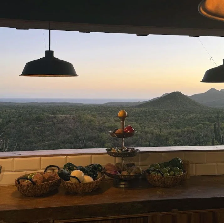 A tray of fruits and vegetables in front of the Sea of Cortez at Monte Cardon.
