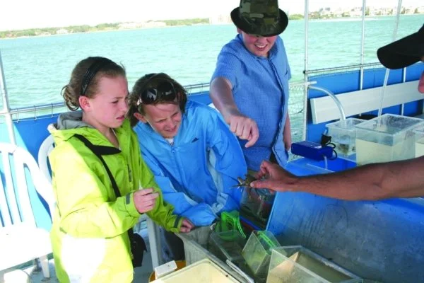 2 girls look at a sea crab at Clearwater marine Squarium's Sea life Safari.
