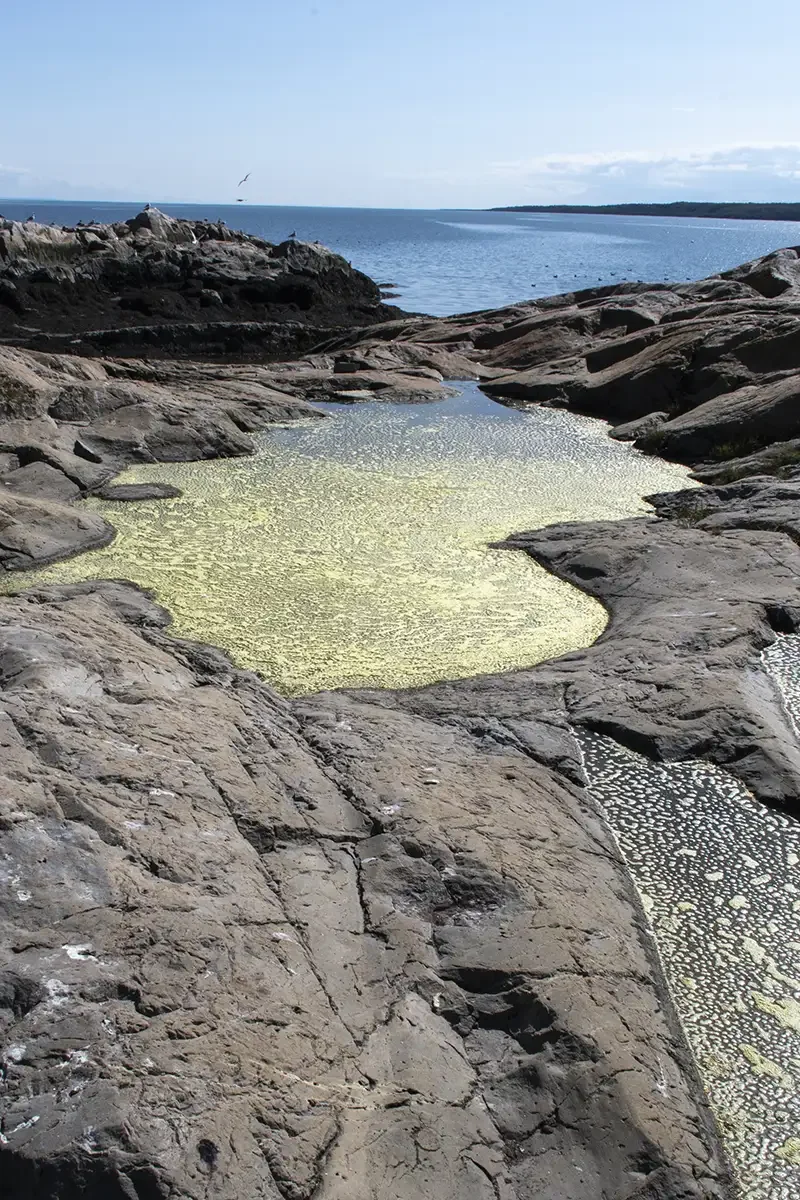 Ile-aux-Lièvres_ Landscape on  Brandy Pot Island_Carole Jobin_Sept 2025.webp