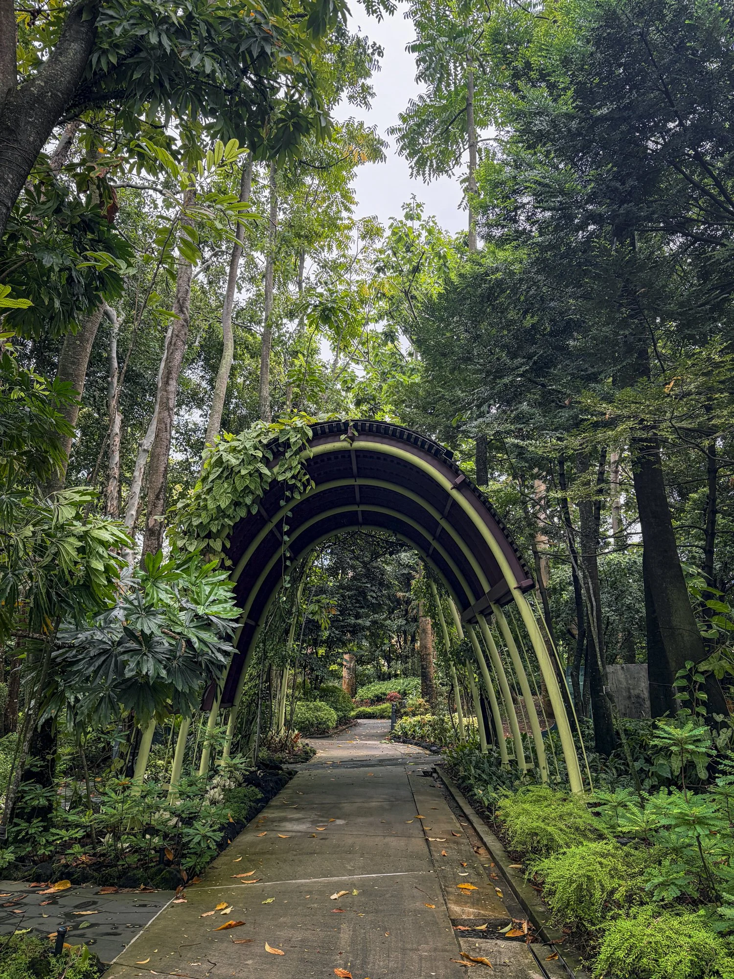 Image11_GardensArch_AnaliseSaavedra.jpg