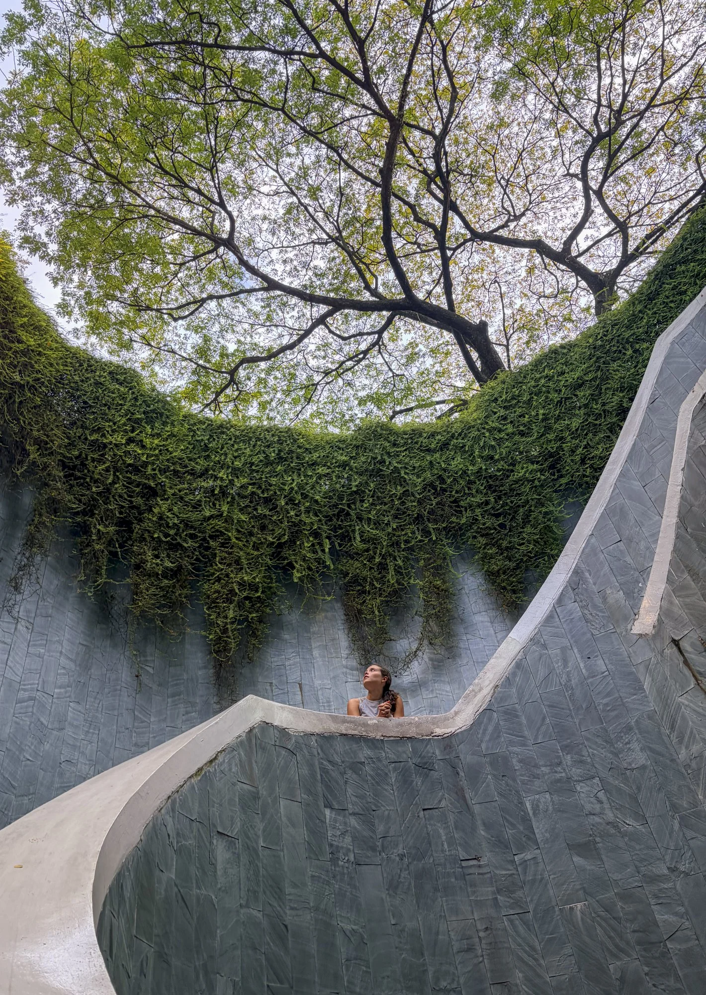 Top 6 Photo Spots in Singapore: A Photographer’s Guide to Capturing the City’s Soul