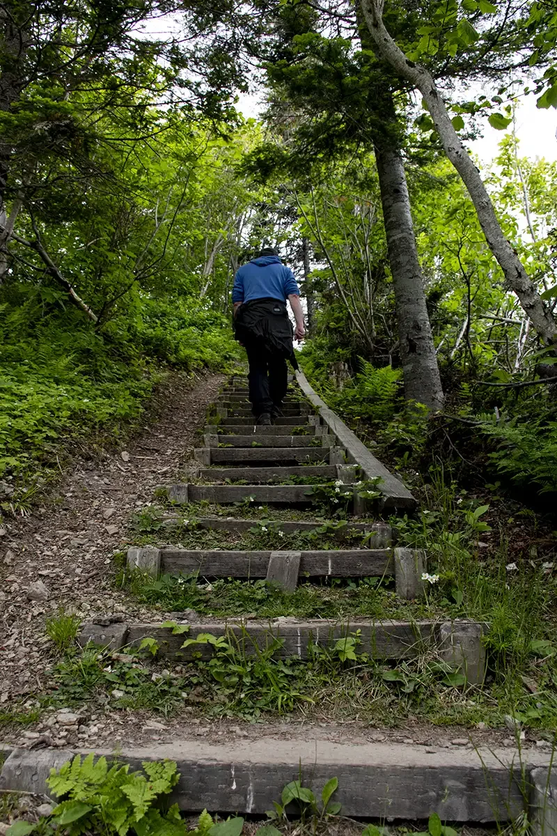 Gaspe Peninsula_Mt. Saint-Alban_Forillon Park_Carole Jobin.webp