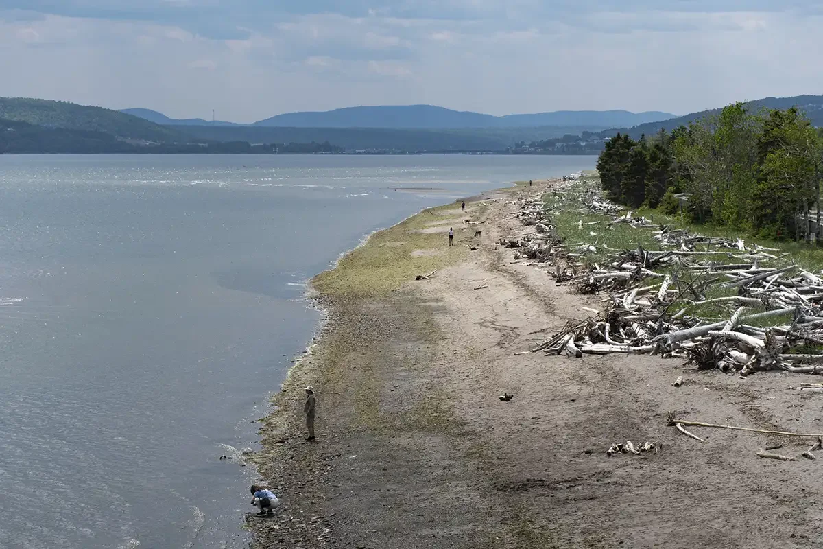 Gaspe Peninsula_Penouille Beach_Forillon Park_Carole Jobin.webp