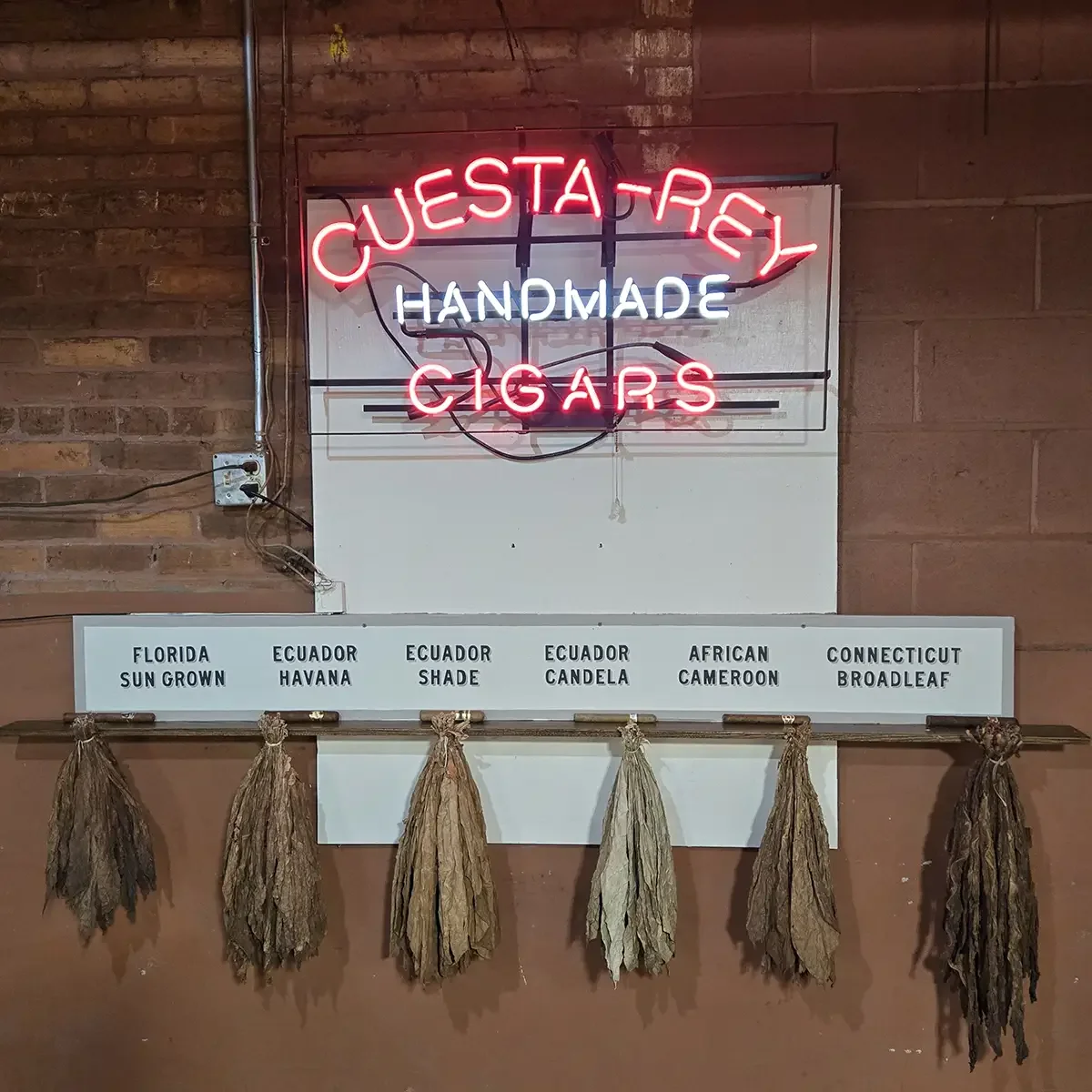 Tampa_Ybor City_JC Newman_tobacco leaves_Dec 2025.webp