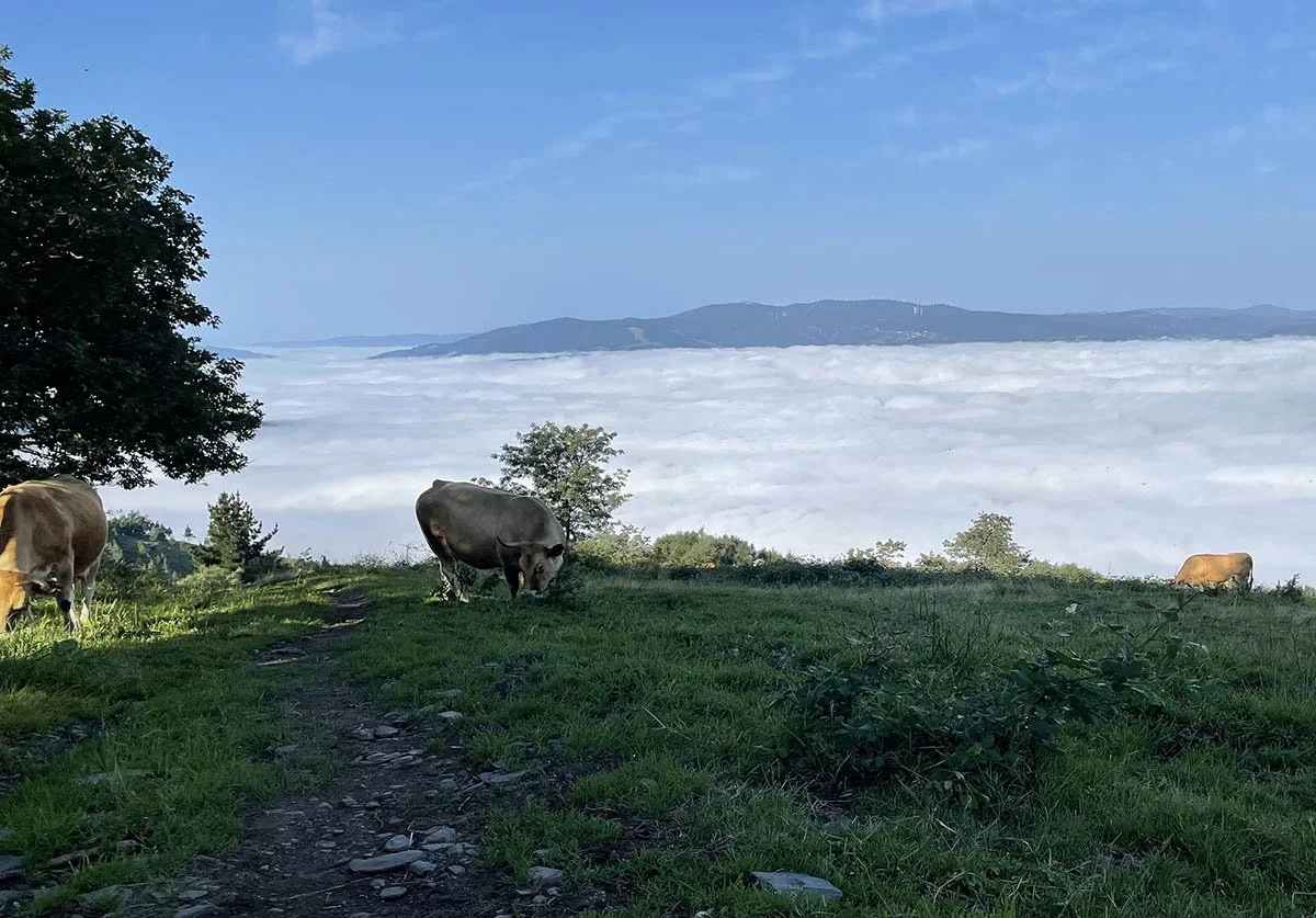 Hiking Smart Not Harder: Tips for excelling on the Camino de Santiago