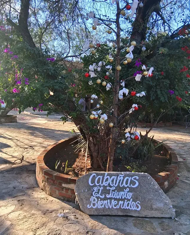 Mexico_El Triunfo_Cabanas_entrance_Jan 2026.webp