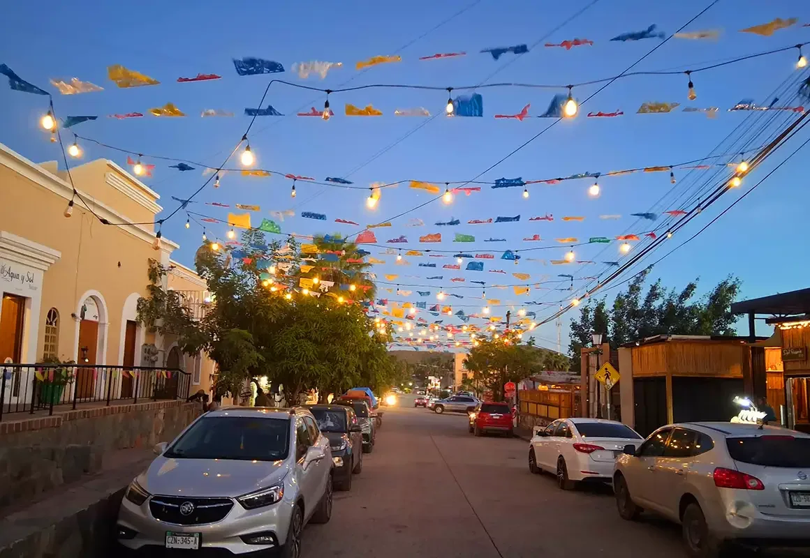 Mexico_Street in Todo Santo_Jan 2026.webp