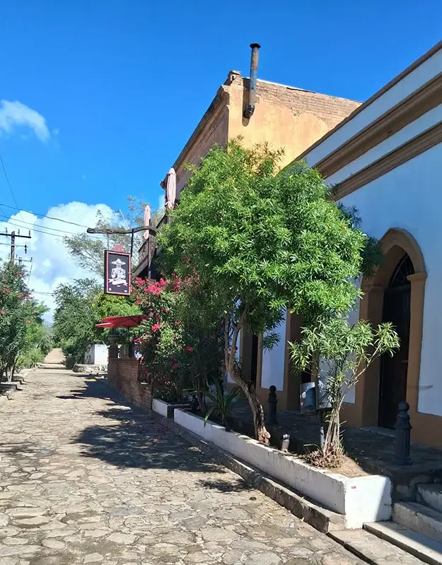 Mexico_Street in El Triunfo_Jan 2026.webp