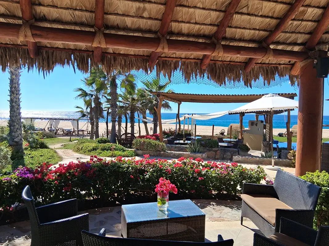 Mexico_Spa_4_Todo Santo_Jan 2026.webp