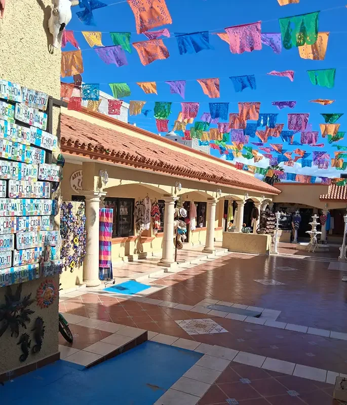 Mexico_Street shops_Todo Santo_Jan 2026.webp