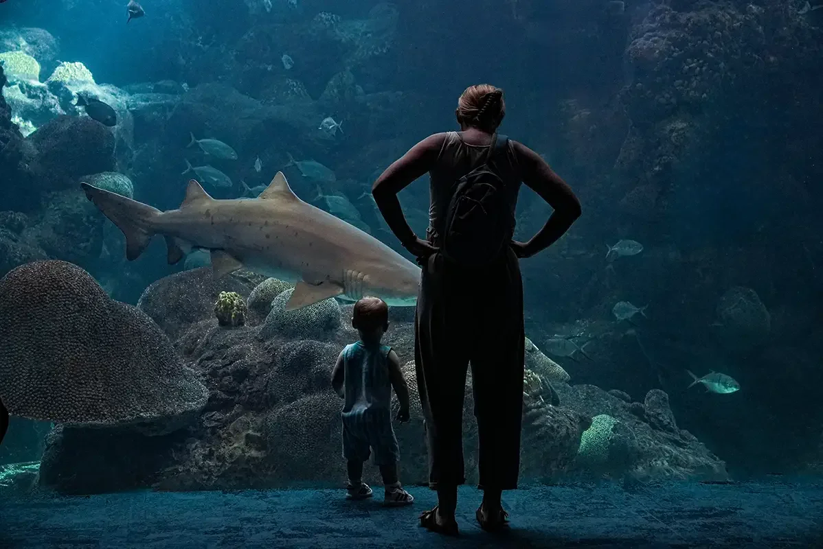 Tampa_Tampa Aquarium_Jan 2026.webp