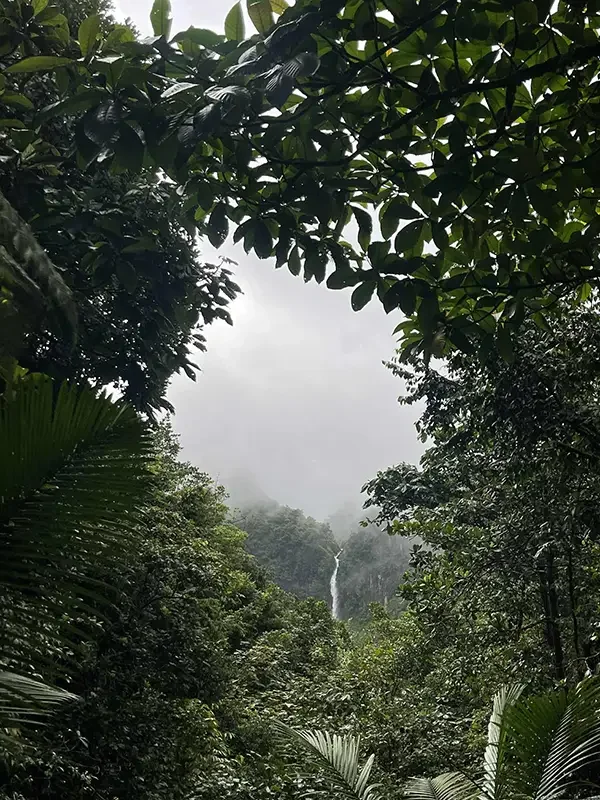 Guadaloupe_Chutes du Carbet_Jan 2026.webp