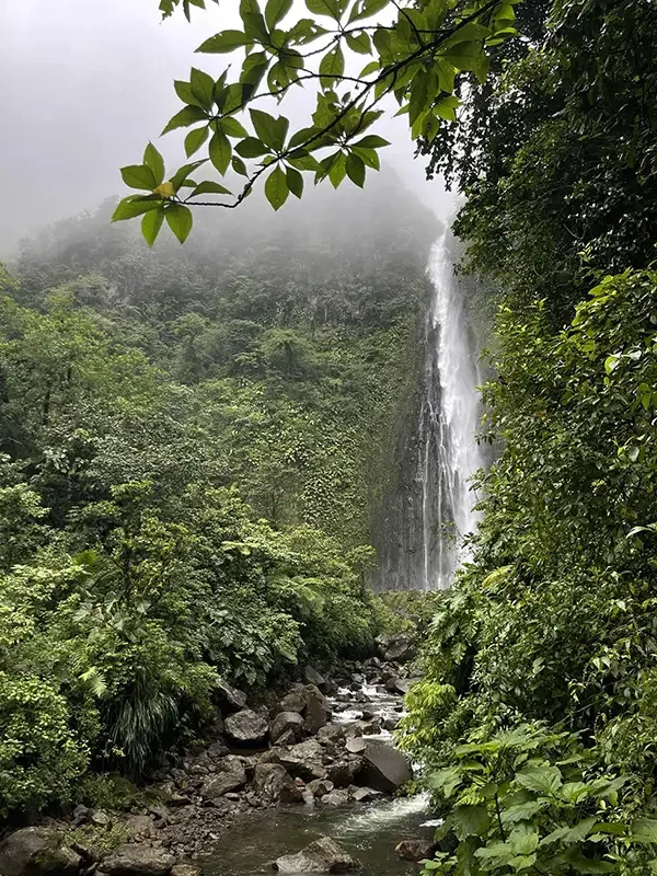 Guadaloupe_Chute du Carbet-2_Jan 2026.webp