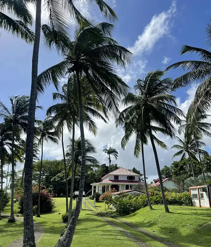 Guadaloupe_Longueteau Distillery_Jan 2026.webp