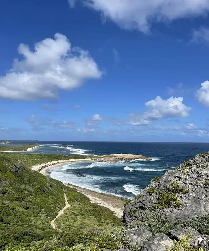 Guadaloupe_Pointes des Chateaux_rugged coastline_Jan 2026.webp