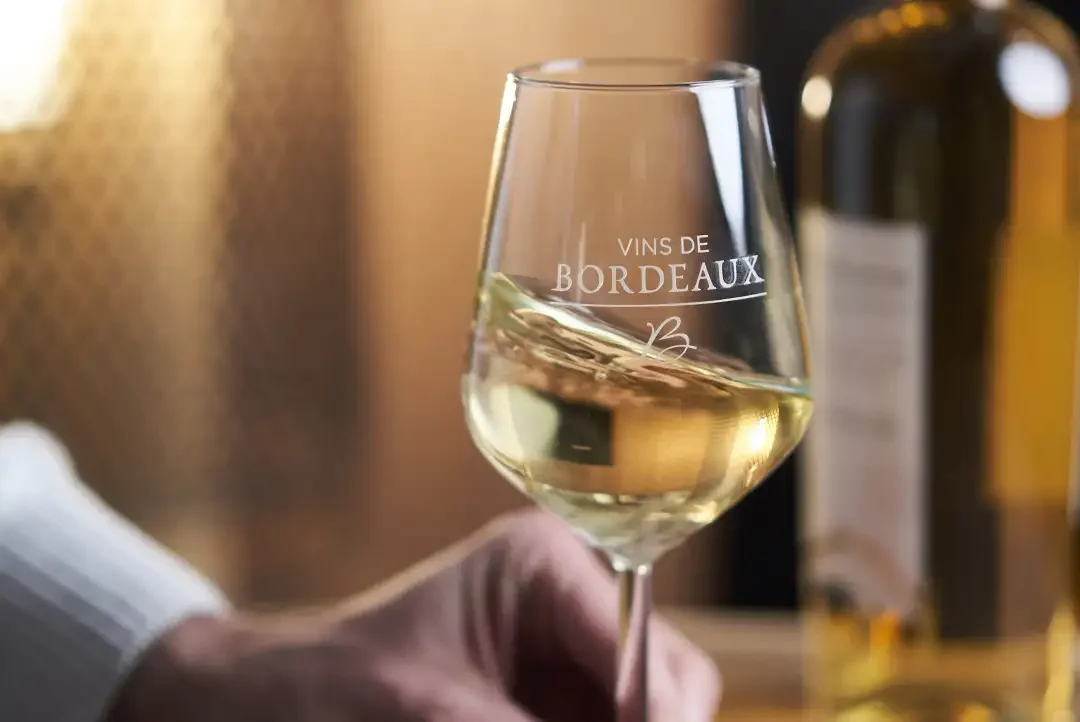 “The Charming Taste of Europe” Brings Flavor and Culture to the European Union Film Festival 2025 in Toronto