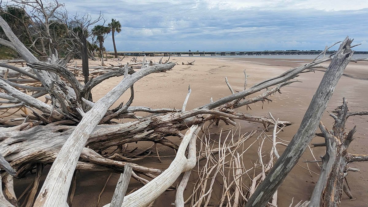 Old Florida Reimagined: Amelia Island’s Timeless Beaches and Culture
