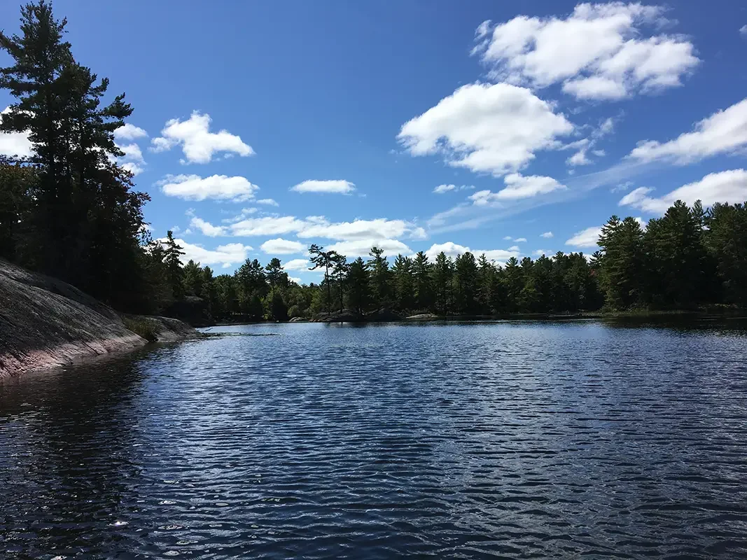Kawartha Lakes_Nogies Waterscape.webp