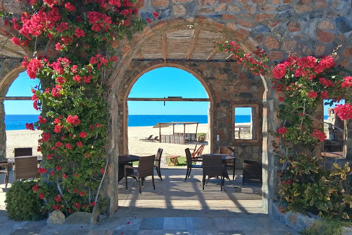 La Paz and Todos Santos are Mexico’s Best‑Kept Secret – An Unassuming Coastal Treasure