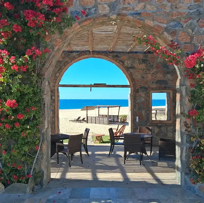 Mexico_Spa_2_Todo Santo_square_Jan 2026.webp